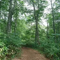 カヤの平高原