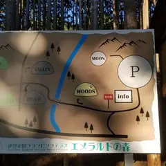 エメラルドの森