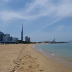 シーサイドももち海浜公園 地行浜地区