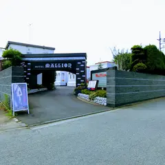 マリオン