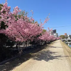 倉敷川公園