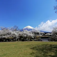 創価学会富士桜自然墓地公園