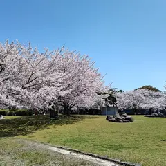 赤穂城跡公園花見広場