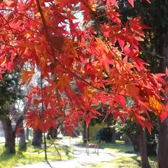 上志津原ふれあいどおり
