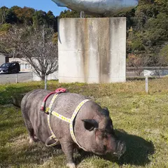 下佐々波漁港