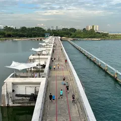 Marina Barrage