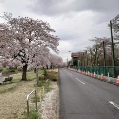 南浅川緑地