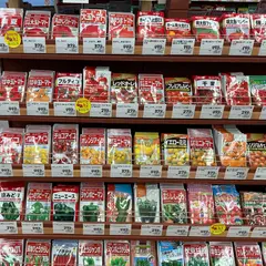 ジョイフル本田 宇都宮店 ガーデンセンター