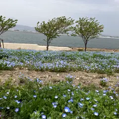 大阪まいしまシーサイドパーク専用駐車場（空の広場）