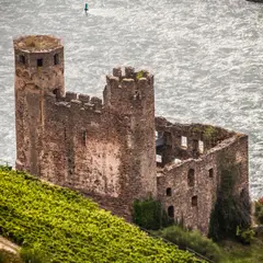 Burgruine Ehrenfels