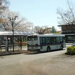 JRマキノ駅駐車場