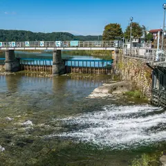 羽村取水堰（投渡堰）
