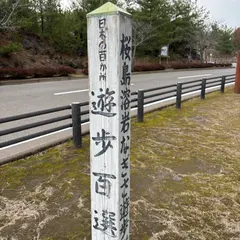 桜島溶岩なぎさ遊歩道 日本の遊歩百選