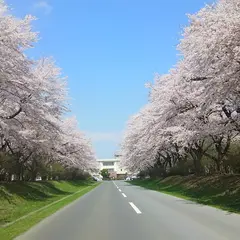 青森県立三本木農業高等学校