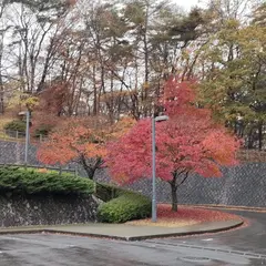 笠間芸術の森公園 東駐車場