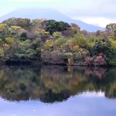 伯耆町町民の森（コカコーラウエスト ほうきフォレストパーク）