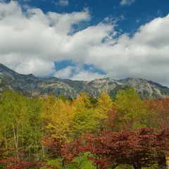 鍋平園地