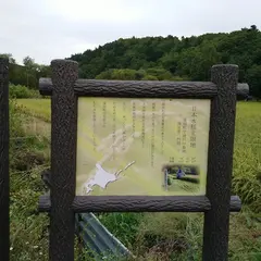 日本最北の水田