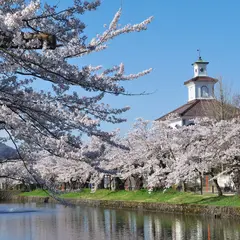 鶴岡公園