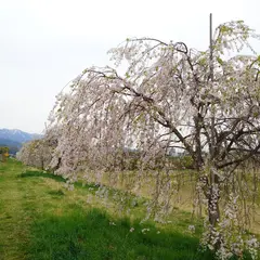 馬見ヶ崎河川公園