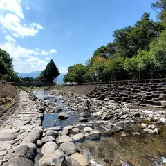 ケヤキの森公園