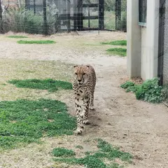 千葉市動物公園駐車場