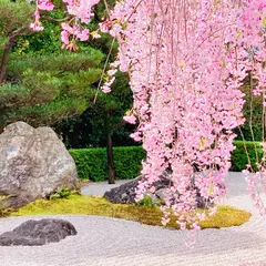 退蔵院