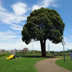 なかむら公園