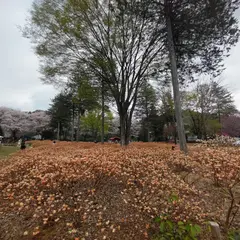 花の森GARDEN