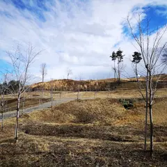 さくらの里