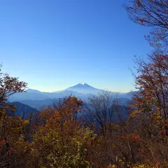 権現山