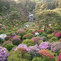 塩船観音つつじ園