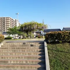 大通公園
