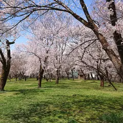 桜野公園