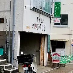 グリル はやしだ