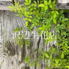 沢辺生花店