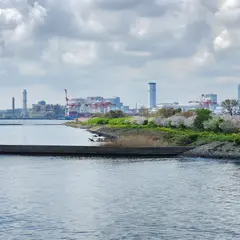 鳥の島(旧防波堤)