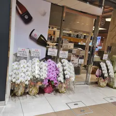 SAKE食堂 by 農口尚彦研究所
