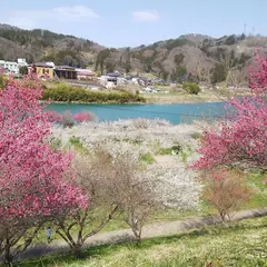 ろうかく梅園