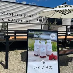 HIGASHIDA FARM STRAWBERRY
