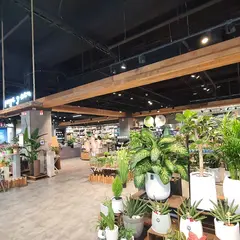 ロッテマート