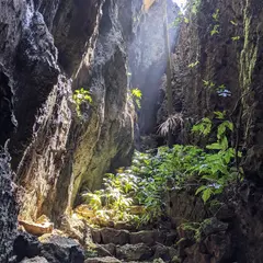 バリバリ岩