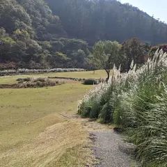 松川湖展望台