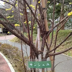 しながわ区民公園 駐車場