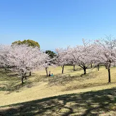 島原市総合運動公園