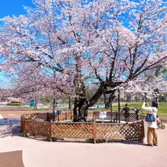 苫小牧市立中央図書館