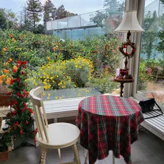 Cafe Tangerine Flower Attic