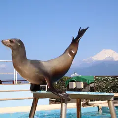 水族館