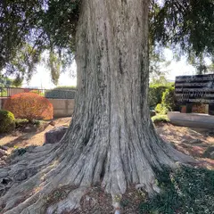 普済寺