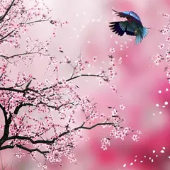 Sakura Akasuri & Massage